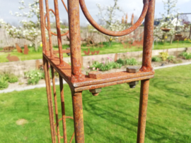 Rozenboog Ambrosia rond