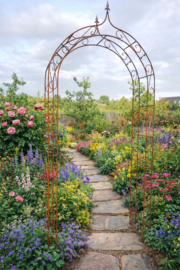 Rozenboog Classic spits