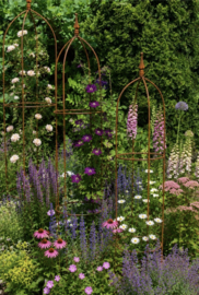 Plantensteunen set Wenen