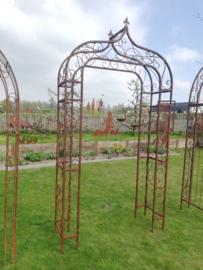 Rozenboog Mirabel spits