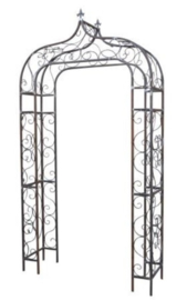 Rozenboog Mirabel spits