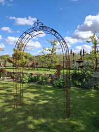 Rozenboog Ambrosia spits