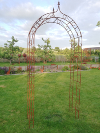 Rozenboog Classic spits