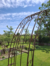 Rozenboog Ambrosia spits