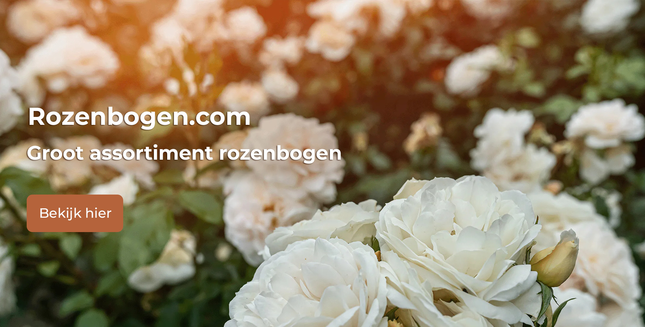 Rozenbogen.com