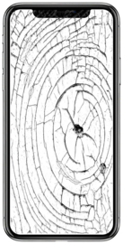 iPhone 12 mini reparatie:  OEM Display assembly vervangen