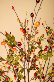 723545 | Berry plant spray with leaves - orange | PTMD
