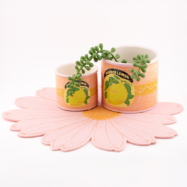 AS5034 | Bloempot middel - citroen | HomeBound by KY