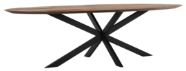 TI 601384 | Timeless eettafel Shape 280 cm - ovaal | DTP Home