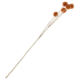 BZ6351 | Distel kunsttak - oranje | HomeBound by KY