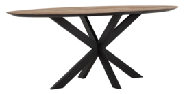 TI 601380 | Timeless eettafel Shape 200 cm - ovaal | DTP Home