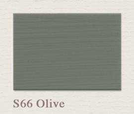 S66 Olive - Matt lak 0.75L | Painting The Past