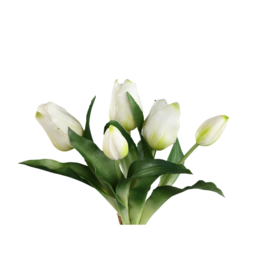 726201 | Tulip flower bush short (5psc) - white | PTMD