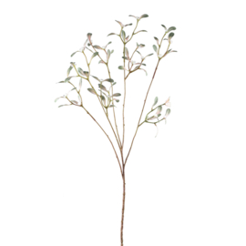 722807 | Mistletoe spray - green | PTMD