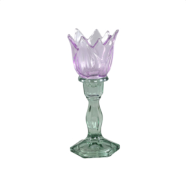 725705 | Adamma tulip stormlight - purple | PTMD