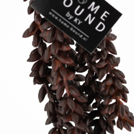 RP3512 | Erwten plant - bruin | HomeBound by KY