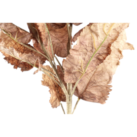 713488 | Leaves Plant leaf spray brown | PTMD 