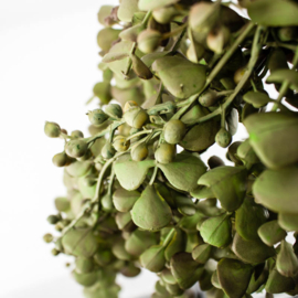 BZ7211 | Kunsttak eucalyptus hangend - groen | HomeBound by Kolony