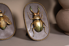 733022 | Adalay wall hanger - gold beetle | PTMD