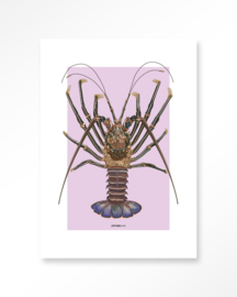 Art Print - Langosta | Urban Cotton