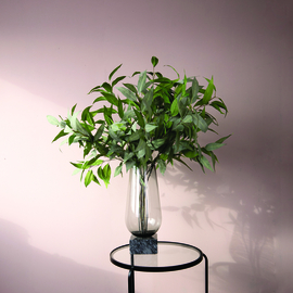 701901 | Leaves Plant eucalyptus tak grijs/groen | PTMD 