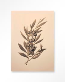 Art Print - Oliva | Urban Cotton