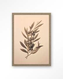 24104 | Art Print - Oliva | Urban Cotton