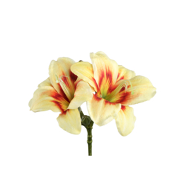 725885 | Amaryllis flower spray - yellow | PTMD