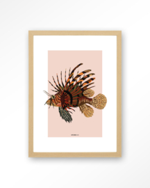 Art Print - Lio | Urban Cotton