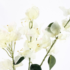 BZ8788 | Kunsttak Bougainville 105cm - beige | HomeBound by KY