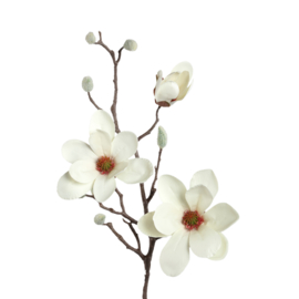 725884 | Amaryllis flower spray with bud - white | PTMD