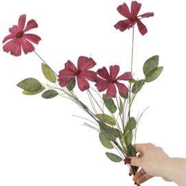 BZ2856 | Veldboeket madelief - burgundy | HomeBound by KY