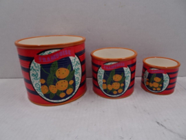 AS5046 | Bloempot middel - framboos | HomeBound by KY