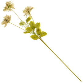 BZ2869 | Veldboeket rudbeckia 79cm - beige | HomeBound by KY