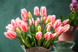 726210 | Tulip flower bush long (5psc) - pink | PTMD