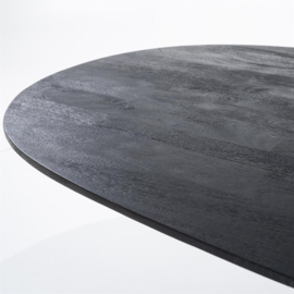 95671 | Eettafel Aron ovaal 250x110 - zwart | Eleonora