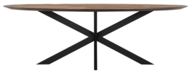 TI 601382 | Timeless eettafel Shape 240 cm - ovaal | DTP Home