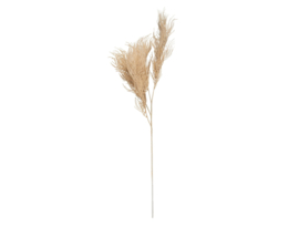 PT3902SB | Artificial Plant Asparagus Fern Stem - sand brown | Present Time