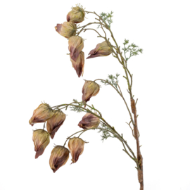 BZ4346 | Kunsttak Leucocoryne - taupe | HomeBound by KY 