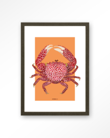 Art Print - Trapezia | Urban Cotton