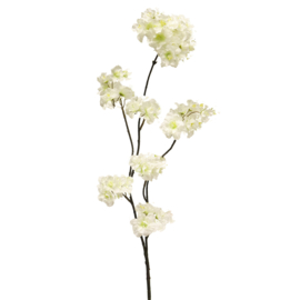 825010238 | Prunus Malaga spray 84cm - white | Isaa