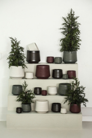 735677 | Sailas pot carved lines XXS - red | PTMD - Binnenkort verwacht!