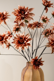 736752 | Dahlia 5 flowers - peach | PTMD