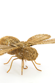7615085 | Ornament 29x26,5x6 cm CICADA - goud | Light & Living