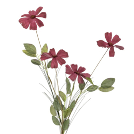 BZ2856 | Veldboeket madelief - burgundy | HomeBound by KY