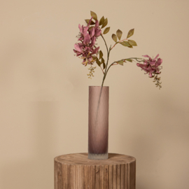 734188 | Garden flower cardinal - purple | PTMD