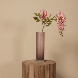 734187 | Garden flower cardinal - pink | PTMD