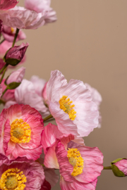 733907 | Poppy flower bundle - pink | PTMD
