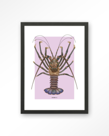 Art Print - Langosta | Urban Cotton
