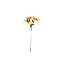 725885 | Amaryllis flower spray - yellow | PTMD